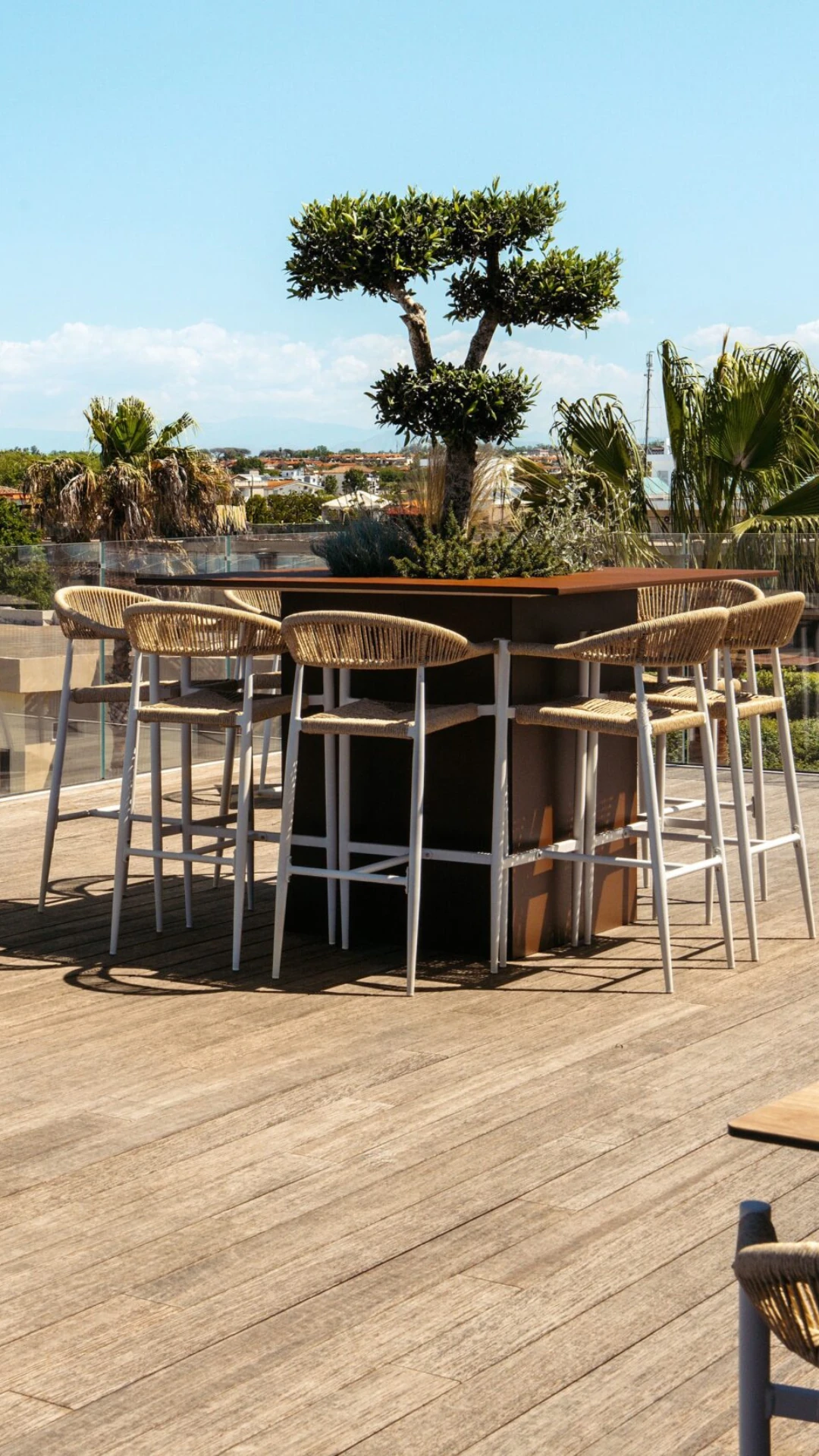 terrazzaa (2)